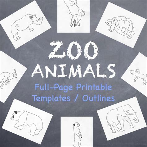 zoo animals printable full page outlines templates   grades