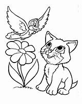 Coloring Pages Kitten Printable Puppy Kittens Kids Procoloring Lovely Cat Sheets Print Book Kitty Bird Puppies Birds Cartoon Clipart Choose sketch template