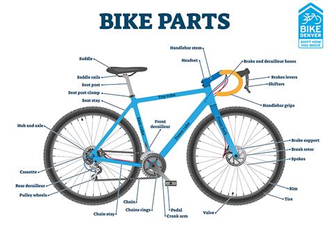 bike parts diagram main front wheel anatomy  bicycle