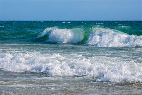 datos sobre los mares  seguro  conocias fundacion aquae