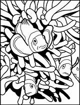 Coloring Pages Clownfish Fish Clown Preschool Fun Coloringpagesfortoddlers Popular Most Kids sketch template