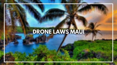 drone laws maui   register     rules