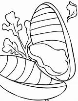 Mussel Mussels Colorare Cozza Designlooter Printmania sketch template