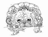 Coloring Pug Pages Pugs Colouring Adult Book Printable Puppy Peek Boo Single Dog Color Choose Board Sheets Drawings sketch template
