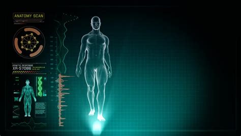 anatomy human full body male walking stock footage video  royalty