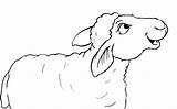 Schaf Malvorlage Malvorlagen Schafe Kinderbilder sketch template