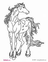 Coloring Pages Horse Farm Animal sketch template