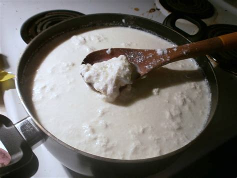 quick homemade cottage cheese  vinegar