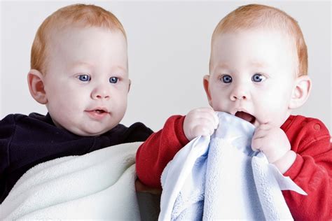 10 Super Interesting Fraternal Twins Facts Haley S Daily