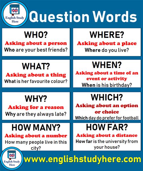 question words english study