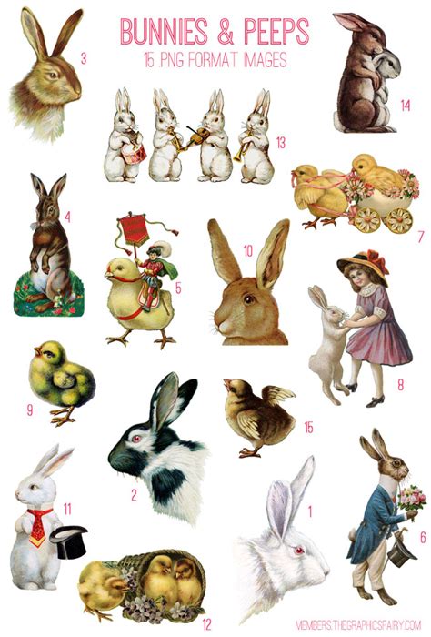 easter bunnies and peeps image kit graphics fairy premium membership the graphics fairy