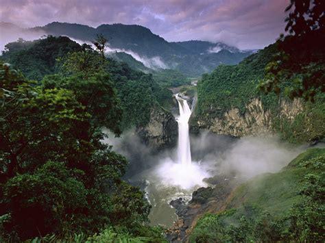 amazon jungle tearing  amazon rainforests landscapes