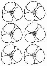 Poppy Template Poppies Craft Remembrance Cut Coloring Templates Printable Kids Crafts Pages Colouring Veterans Craftnhome Instructions Color Anzac Sunday Print sketch template