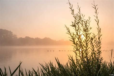 vroege vogels foto weer en landschap mooie rustige ochtend