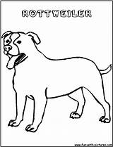 Rottweiler Colorear Rotweiller sketch template