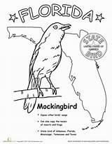 Florida Coloring State Pages Worksheets Bird Flag Symbols Texas Printable Drawing Grade Mississippi Mockingbird Birds Map Color Outlines Maps Kids sketch template