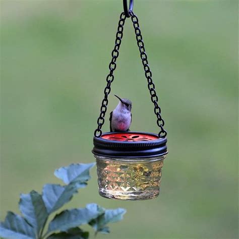 16 Diy Homemade Hummingbird Feeder Ideas To Attract Them To Your Home