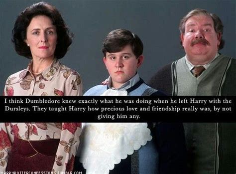 Memes Of Harry Poter Harry Potter Facts Harry Potter Obsession