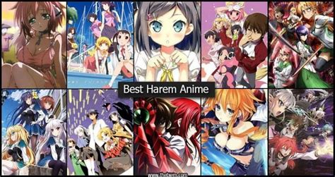 40 best harem anime that you should definitely watch 2020 in 2020