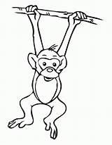 Coloring Monkey Tree Pages Hanging Drawing Print Online Jungle Cartoon sketch template