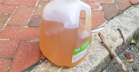 Rva Sidewalk Gems Left By Construction Workers A Jug Of Piss Neat