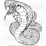 Coloring Rattlesnake Pages Snake Visit Stock sketch template