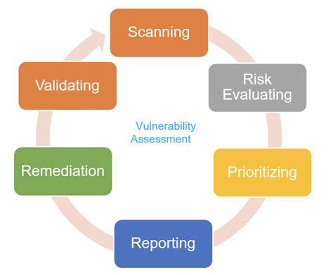 vulnerability management   vulnerability assessment