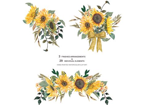 hand painted sunflower clip art illustrations creative market
