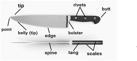 parts   kitchen knife culinarylore