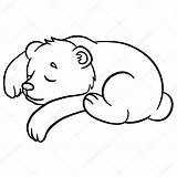 Bear Baby Coloring Cute Pages Animals Vector Wild Little Drawing Stock Smokey Illustration Sleeps Depositphotos Getdrawings Ya Mayka sketch template