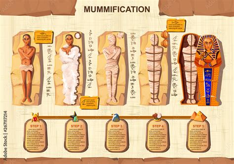 Plakat W Ramie Mummy Creation Cartoon Vector Infographic Illustration