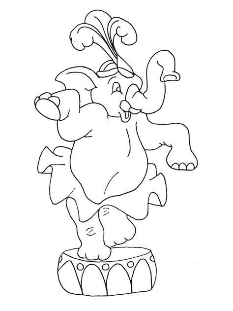 circus elephant elephant coloring page coloring pages printable
