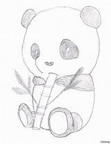 Panda Coloring Cute Pages Baby Pandas Drawing Bamboo Eating Printable Kids Cartoon Getdrawings Animal Color Tech High Print Anime Getcolorings sketch template