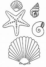 Coloring Pages Shells Shell Sea Starfish Print Book Fish Seashells Stencils Mosaic Sketches sketch template