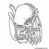 Predator sketch template
