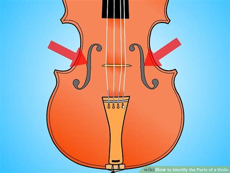 identify  parts   violin  steps  pictures