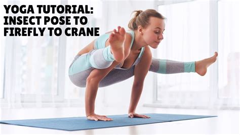 yoga tutorial insect pose  firefly  crane joan hyman yogavibes