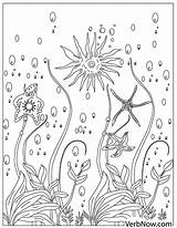 Starfish Gliding sketch template