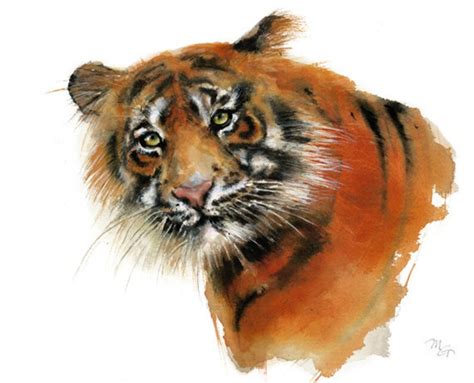 tiger watercolor painting art print nature  animal etsy