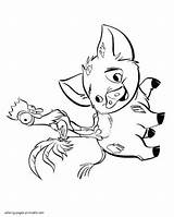 Moana Coloring Pages Print Printable Disney Pets Look Other sketch template