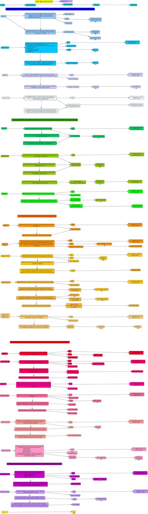 Biology Blueprint Of Life