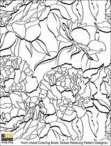 Adult Coloring Creative Pages sketch template