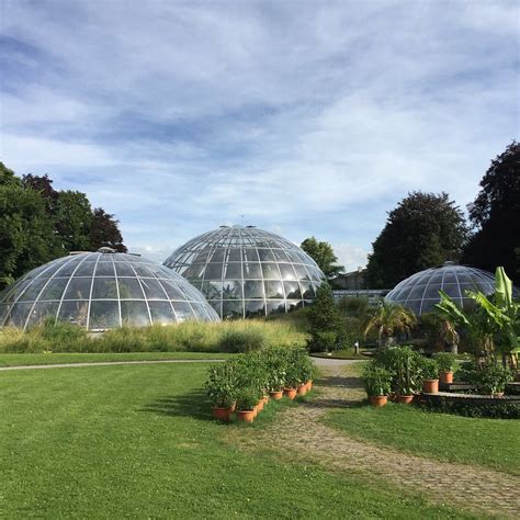 botanical garden botanischer garten zurich