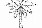 Banana Tree Coloring Outline Pages Drawing Bunch Leaves Template Clipart Getdrawings Netart Drawings Paintingvalley sketch template