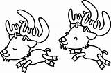 Coloring Caribou Clipart sketch template