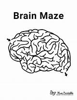Brain Maze Kids Printable Mazes Worksheets Easy Activities Activity Human Printables Preschool Museprintables Body Sheet Visit sketch template