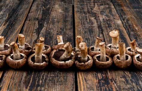 quelques champignons retournes sur une table en bois fonce photo gratuite