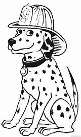 Coloring4free Firefighter Coloring Pages Dalmatian Related Posts sketch template