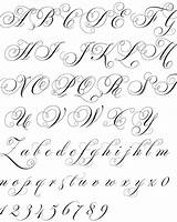 Calligraphy Copperplate Flourish Cursive Letras Buchstaben Flourished Letra Kalligraphie Verzierte Schriftarten Schriftzug Flourishing Handwriting sketch template