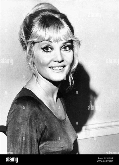 Diane Cilento Actrice épouse De Sean Connery Dbase Photo Stock Alamy